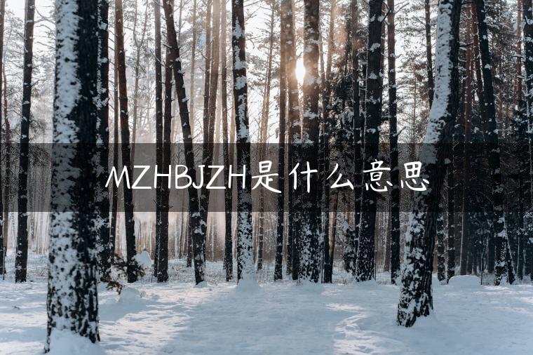 MZHBJZH是什么意思