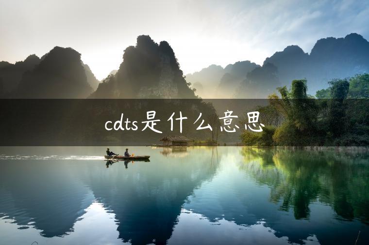 cdts是什么意思