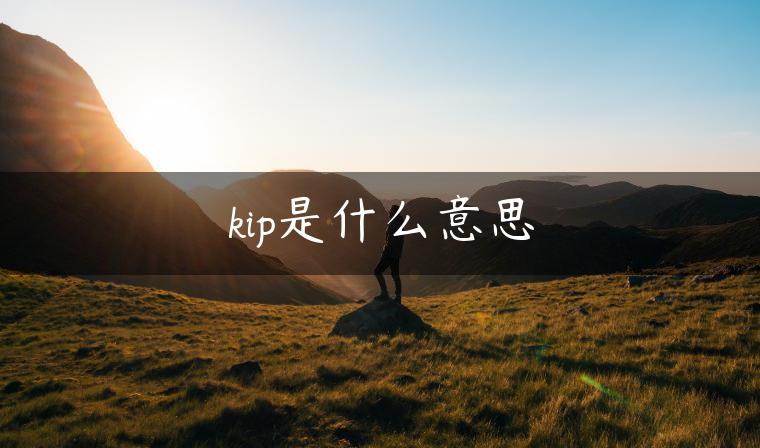 kip是什么意思