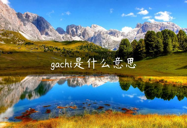 gachi是什么意思