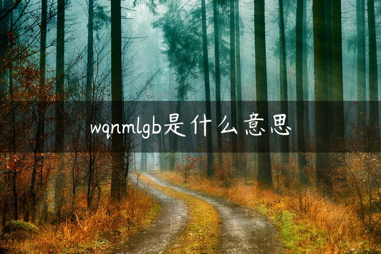 wqnmlgb是什么意思