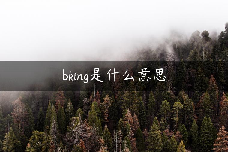 bking是什么意思