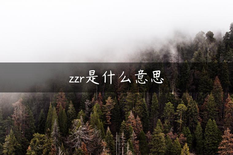 zzr是什么意思