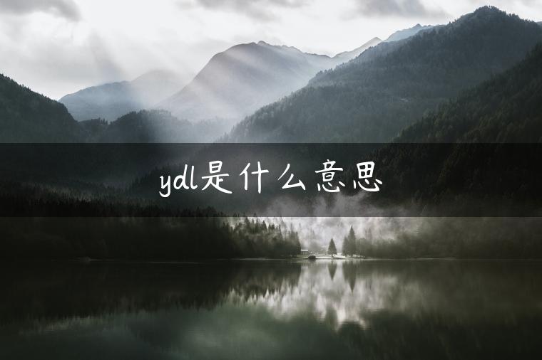 ydl是什么意思