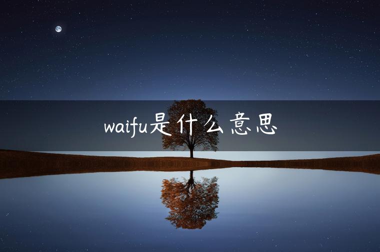 waifu是什么意思