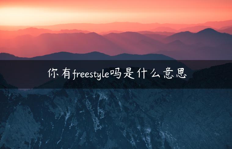 你有freestyle吗是什么意思