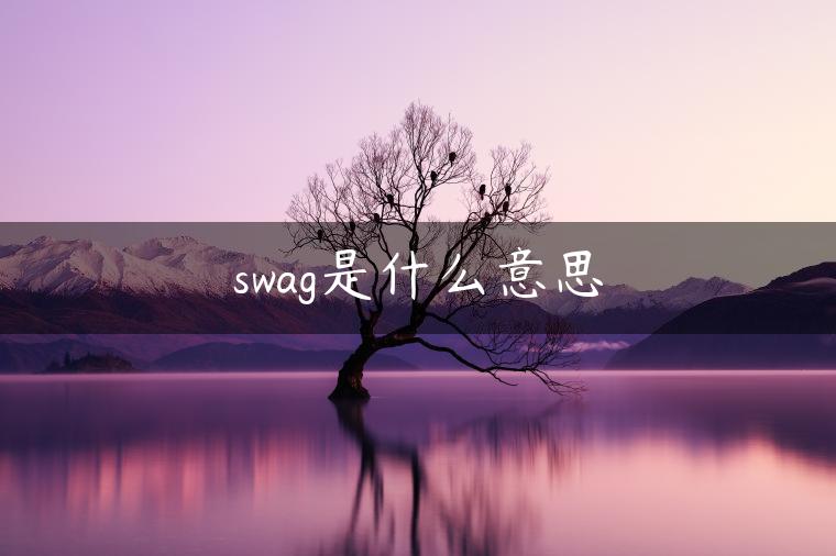 swag是什么意思