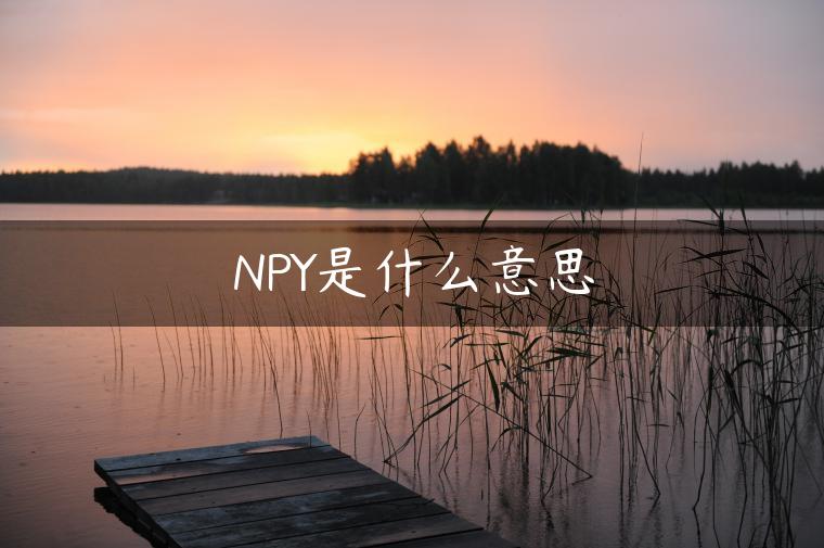 NPY是什么意思