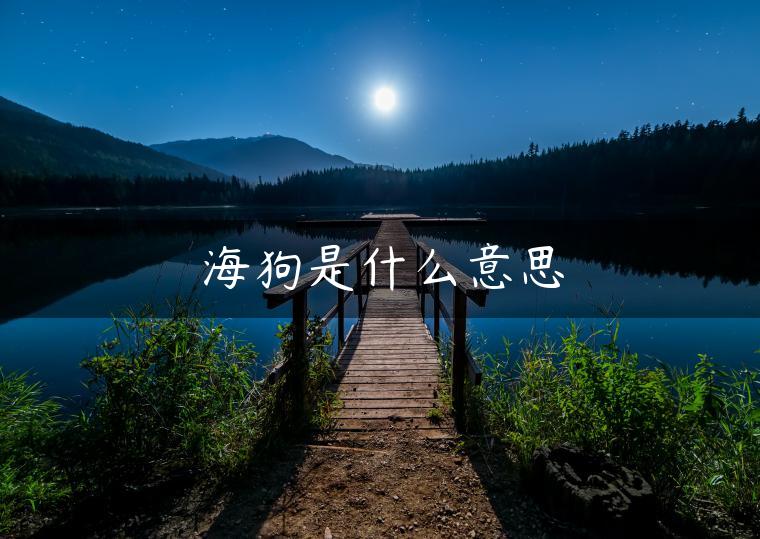 海狗是什么意思