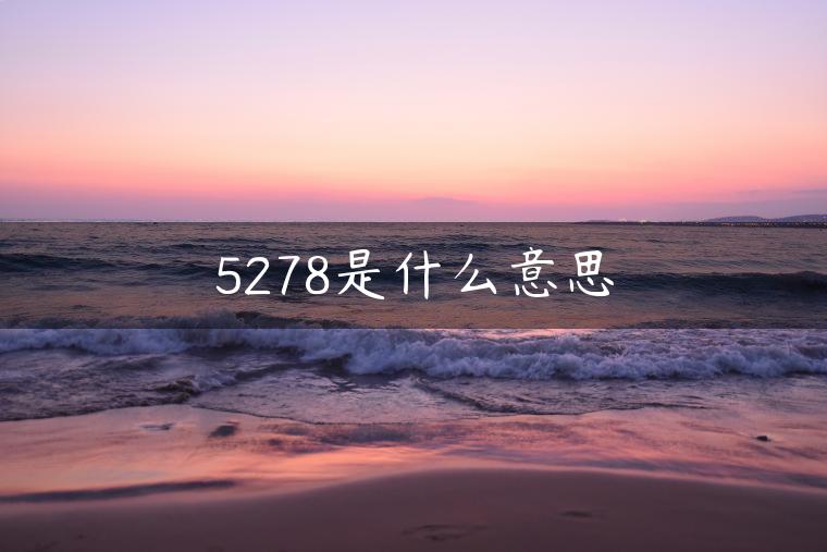 5278是什么意思