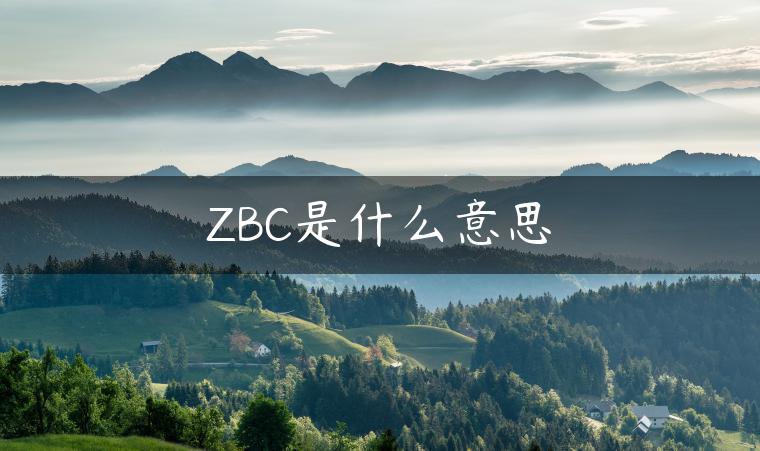 ZBC是什么意思