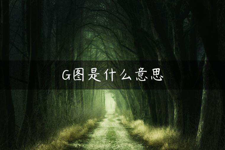 G图是什么意思