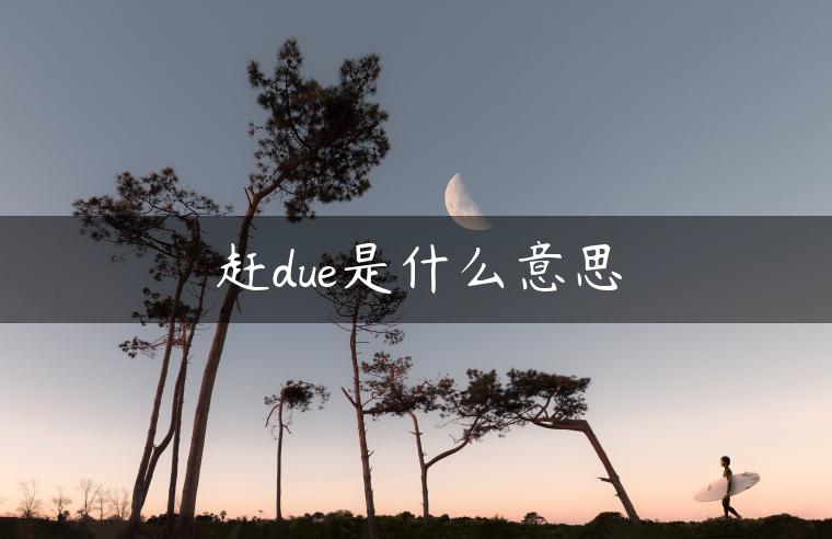 赶due是什么意思