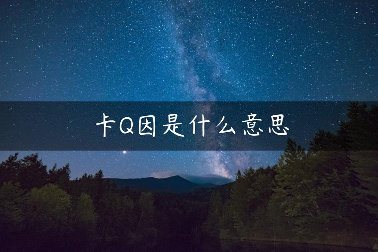 卡Q因是什么意思