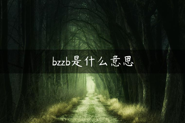 bzzb是什么意思