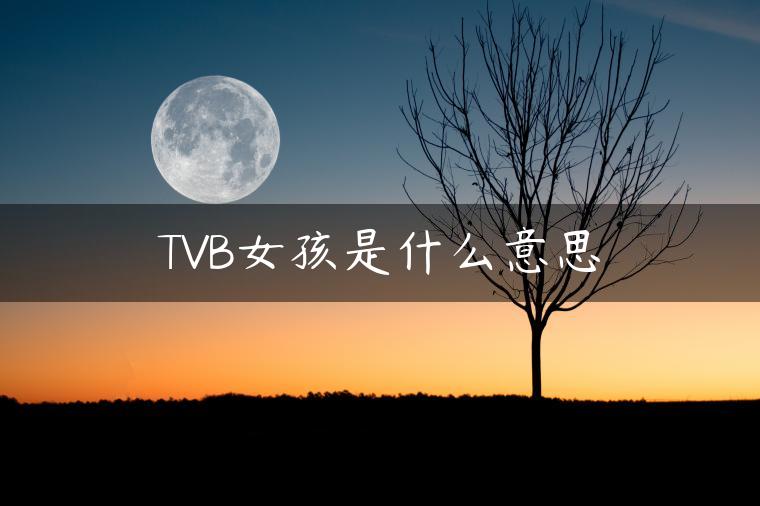 TVB女孩是什么意思