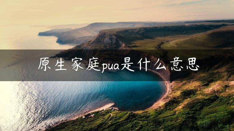 原生家庭pua是什么意思