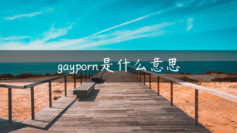 gayporn是什么意思