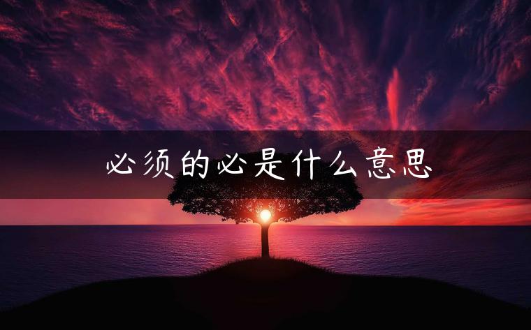 必须的必是什么意思