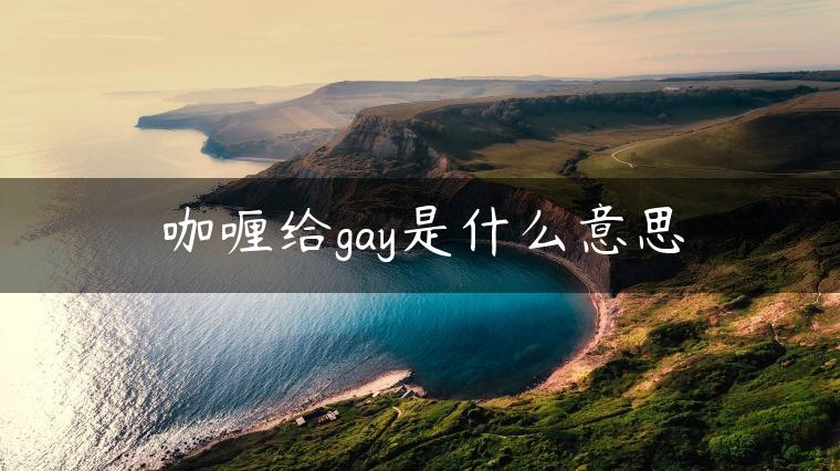 咖喱给gay是什么意思