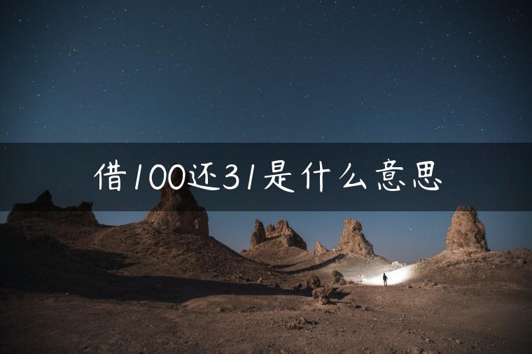 借100还31是什么意思