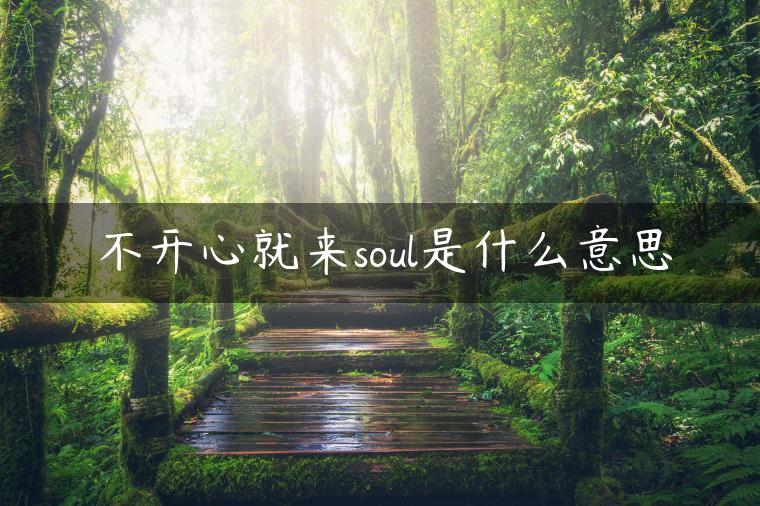 不开心就来soul是什么意思