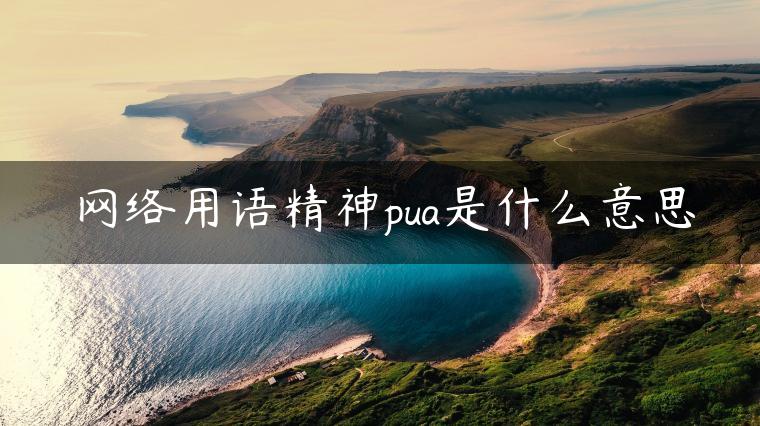 网络用语精神pua是什么意思