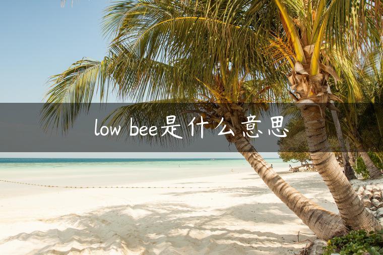 low bee是什么意思