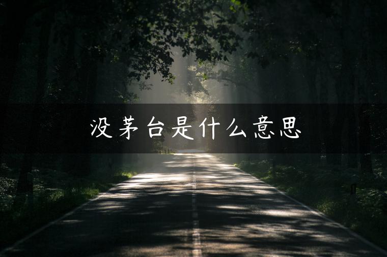 没茅台是什么意思