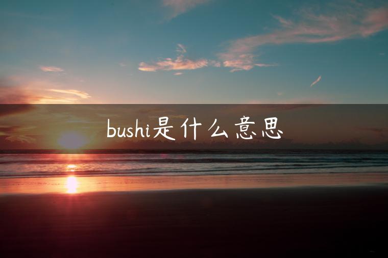 bushi是什么意思