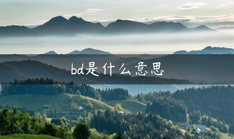 bd是什么意思