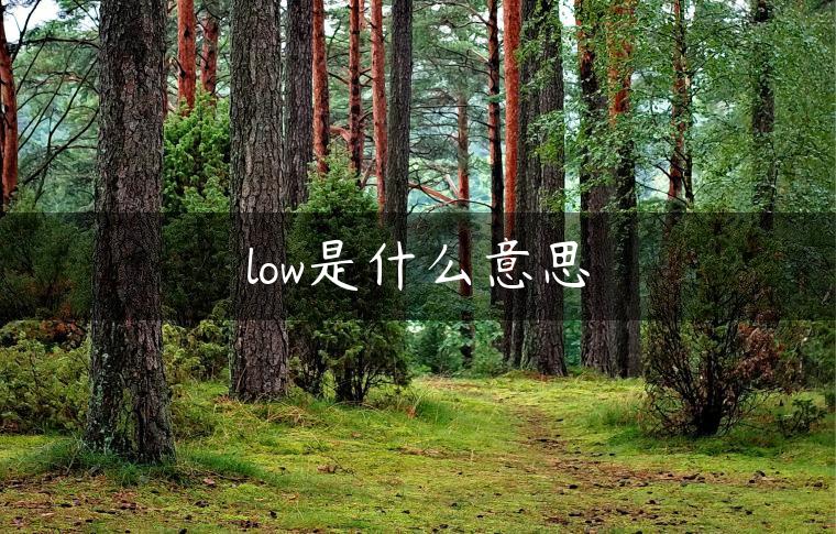 low是什么意思