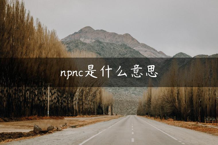 npnc是什么意思