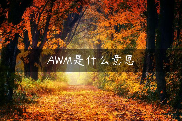 AWM是什么意思