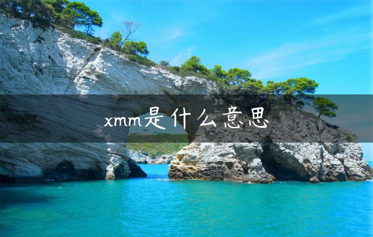 xmm是什么意思