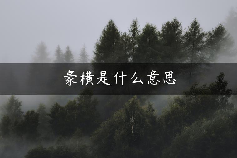 豪横是什么意思