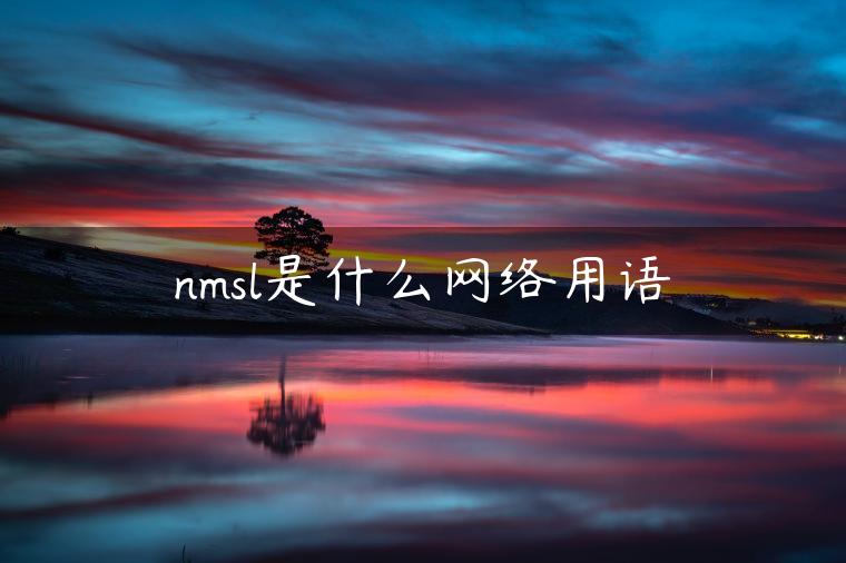 nmsl是什么网络用语