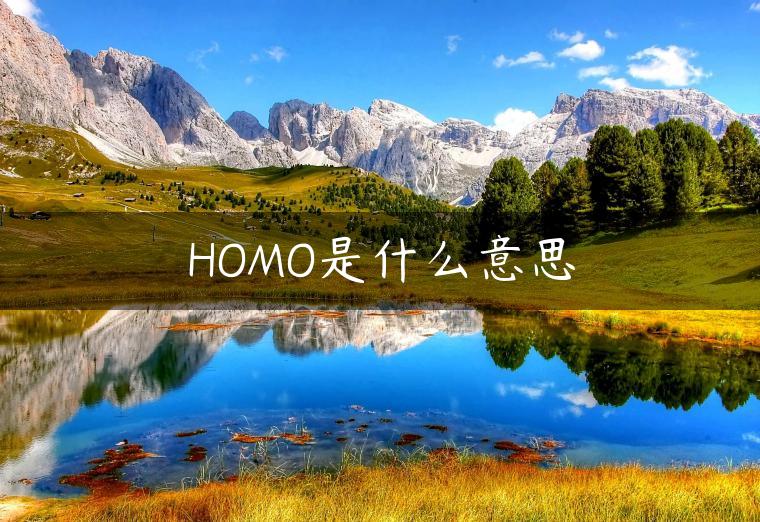 HOMO是什么意思