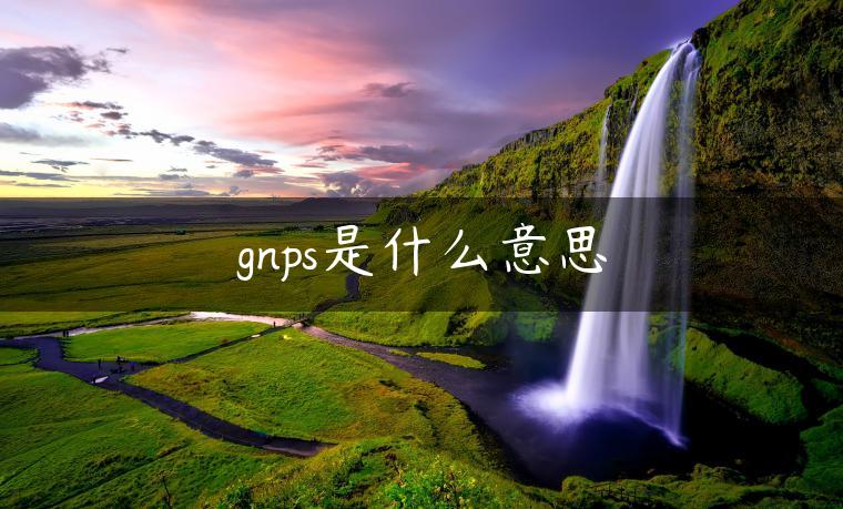 gnps是什么意思