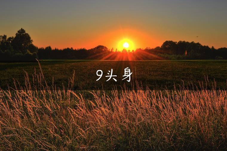 9头身