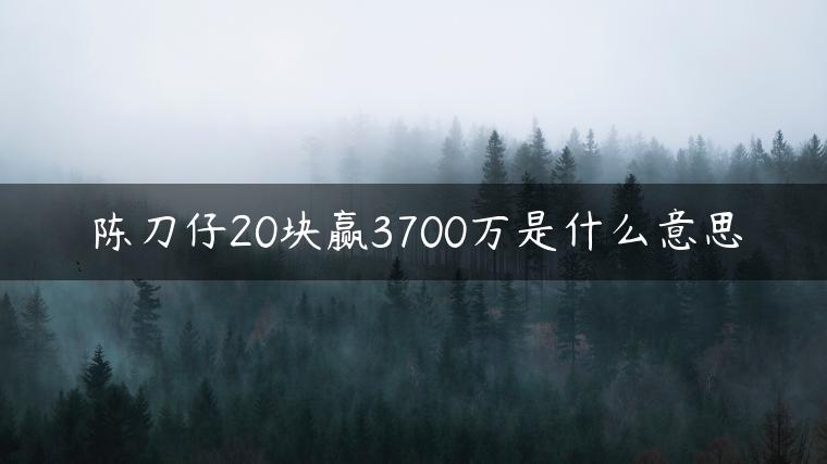 陈刀仔20块赢3700万是什么意思