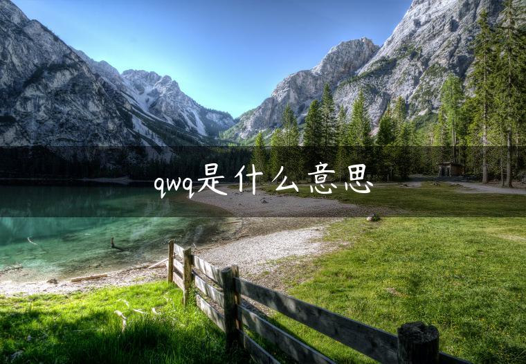 qwq是什么意思