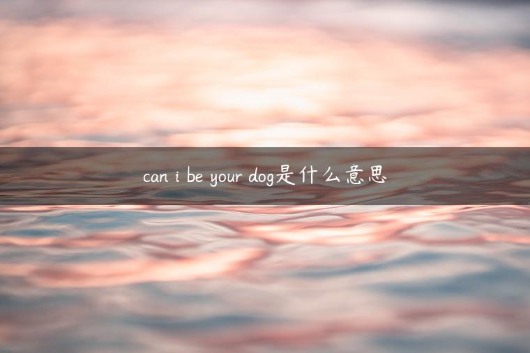 can i be your dog是什么意思