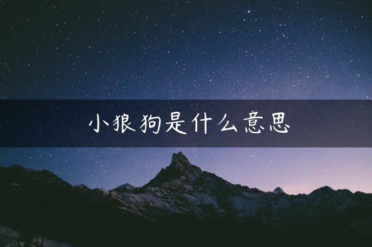 小狼狗是什么意思