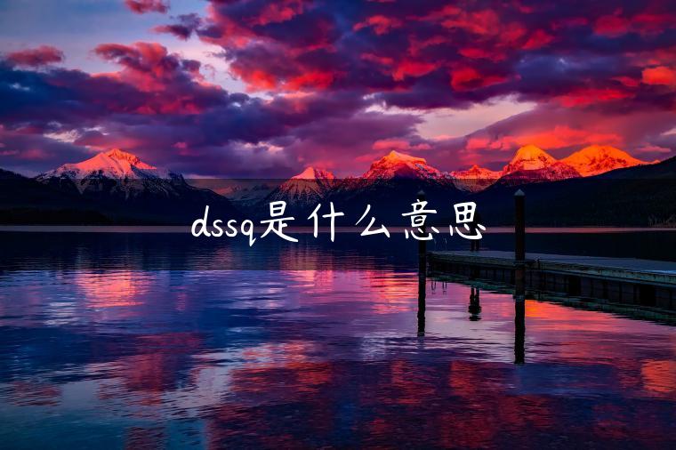 dssq是什么意思