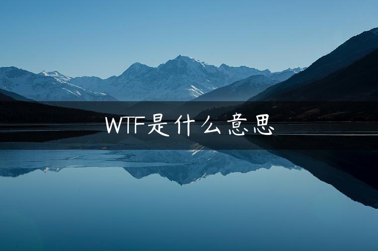 WTF是什么意思