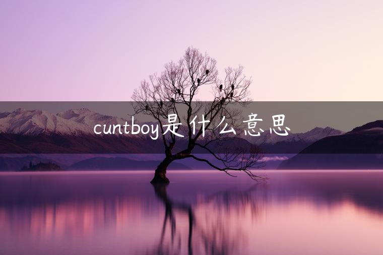 cuntboy是什么意思