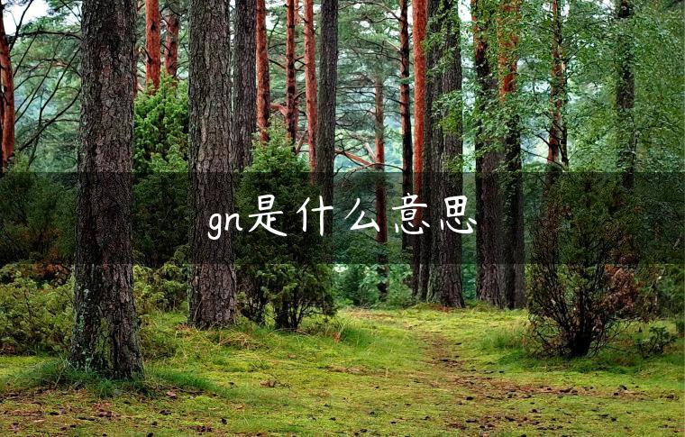 gn是什么意思