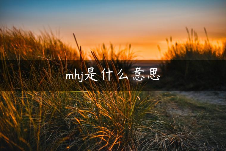 mhj是什么意思