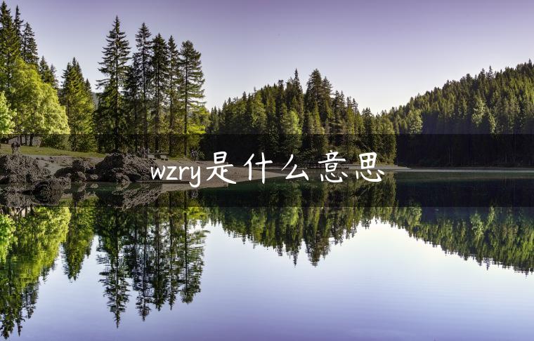 wzry是什么意思